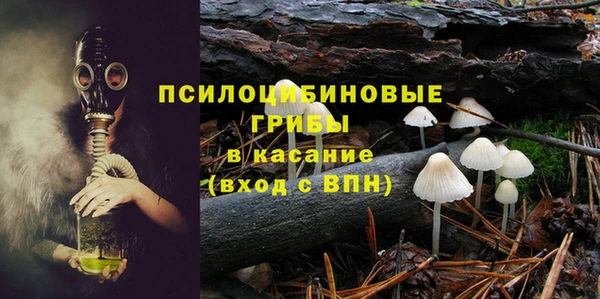 гашик Арсеньев