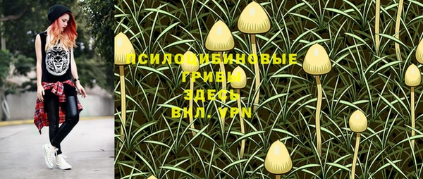 гашик Арсеньев