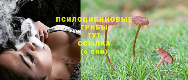 гашик Арсеньев