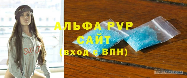 гашик Арсеньев