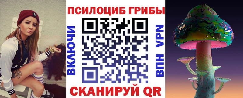Галлюциногенные грибы Cubensis  продажа наркотиков  Теберда 